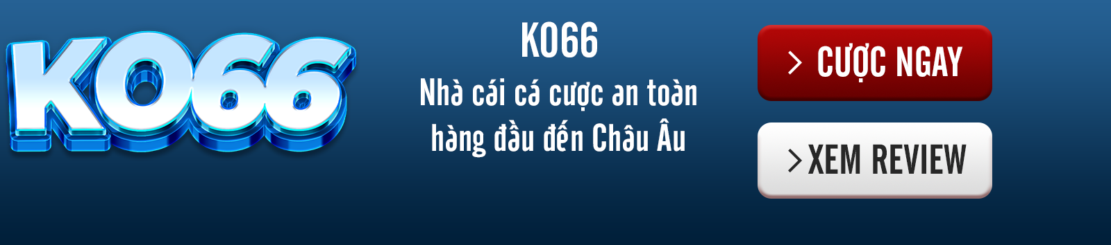 BANNER KO66S13