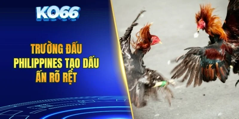 Trường đấu Philippines tạo dấu ấn rõ rệt